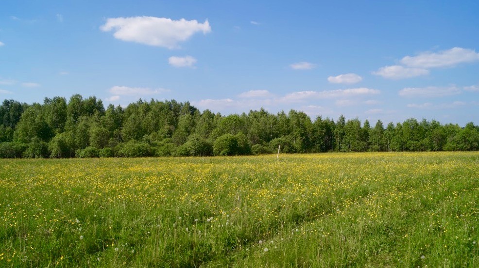 Жилой квартал «Орленок», г.Сысерть.