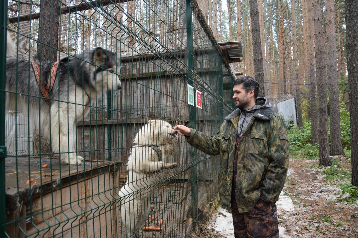 В Новоипатово появится санаторий для животных | Сысертские Вести