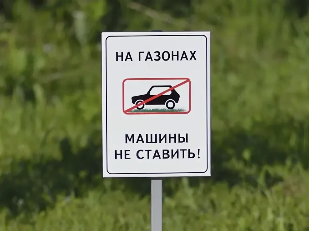 Черновик Черновик