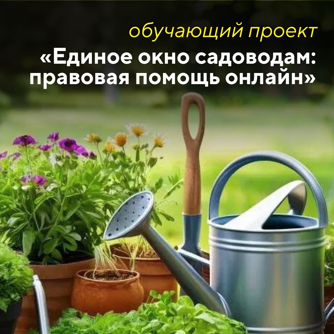 Черновик Черновик