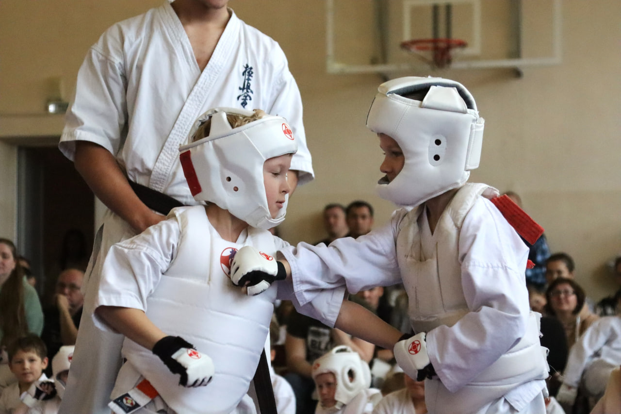 Кубок белого пояса Кубок белого пояса